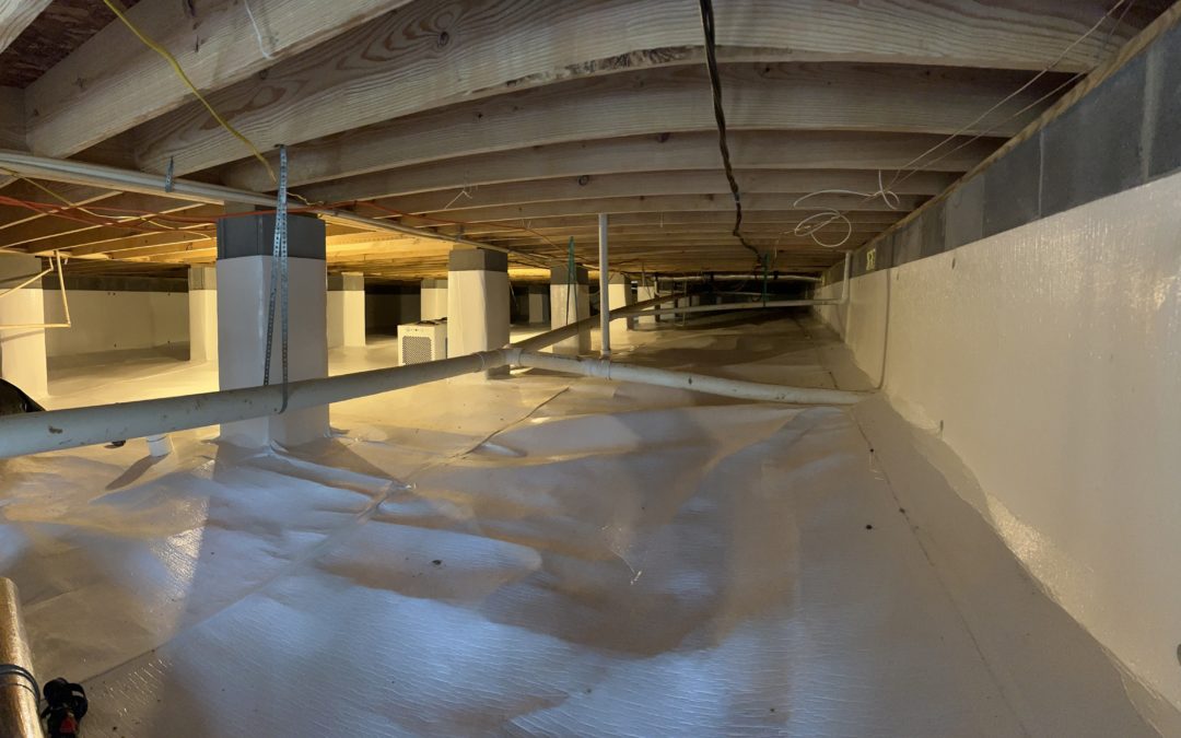 Comprehensive Crawl Space Restoration: Mold Treatment, Wood Repair, and Encapsulation