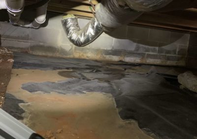 Crawl Space Mold Remediation, Wood Repair, And Floor Stabilization A Case Study In Hartselle, Al (2)