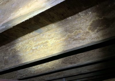 Crawl Space Mold Remediation, Wood Repair, And Floor Stabilization A Case Study In Hartselle, Al (3)