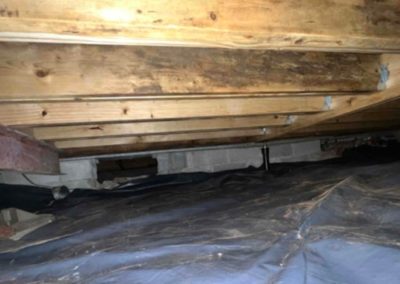 Crawl Space Mold Remediation, Wood Repair, And Floor Stabilization A Case Study In Hartselle, Al (4)