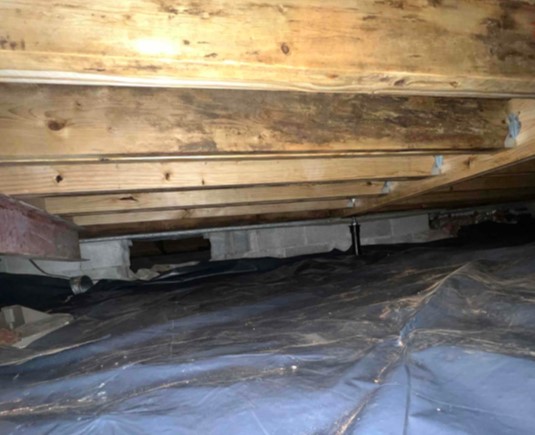Crawl Space Mold Remediation, Wood Repair, and Floor Stabilization: A Case Study in Hartselle, AL
