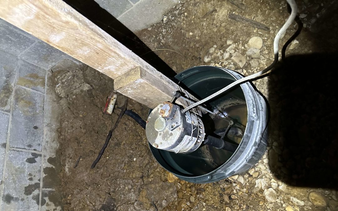 Protecting Your Home With Crawl Space Mold Remediation