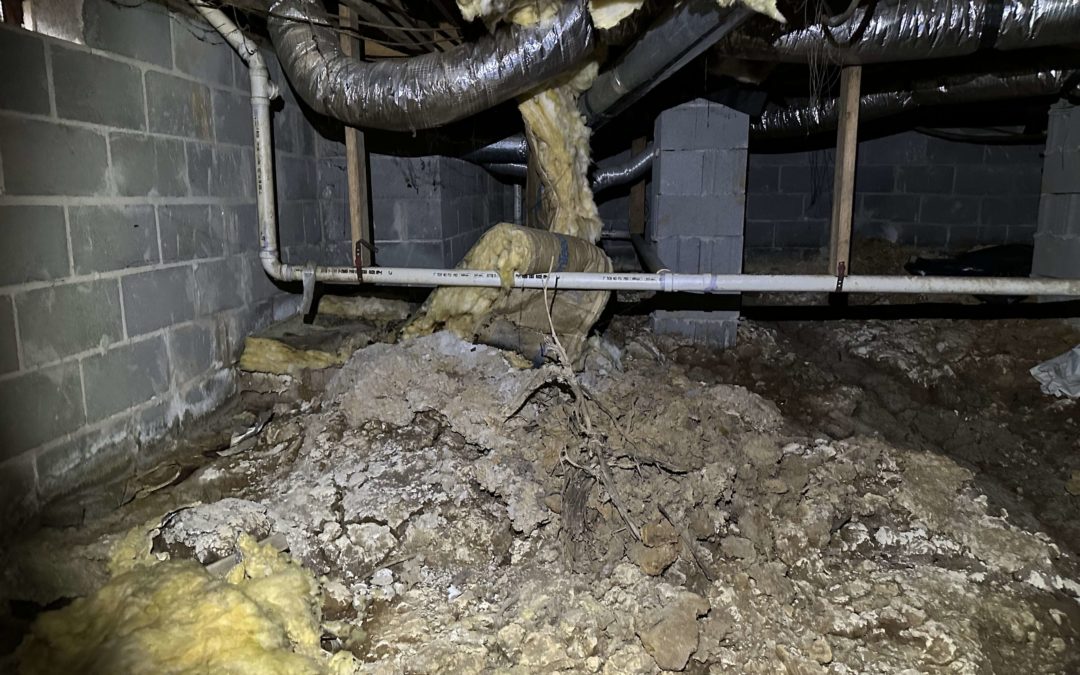 Crawl Space Mold and Water Remediation: A Comprehensive Solution in Huntsville, AL