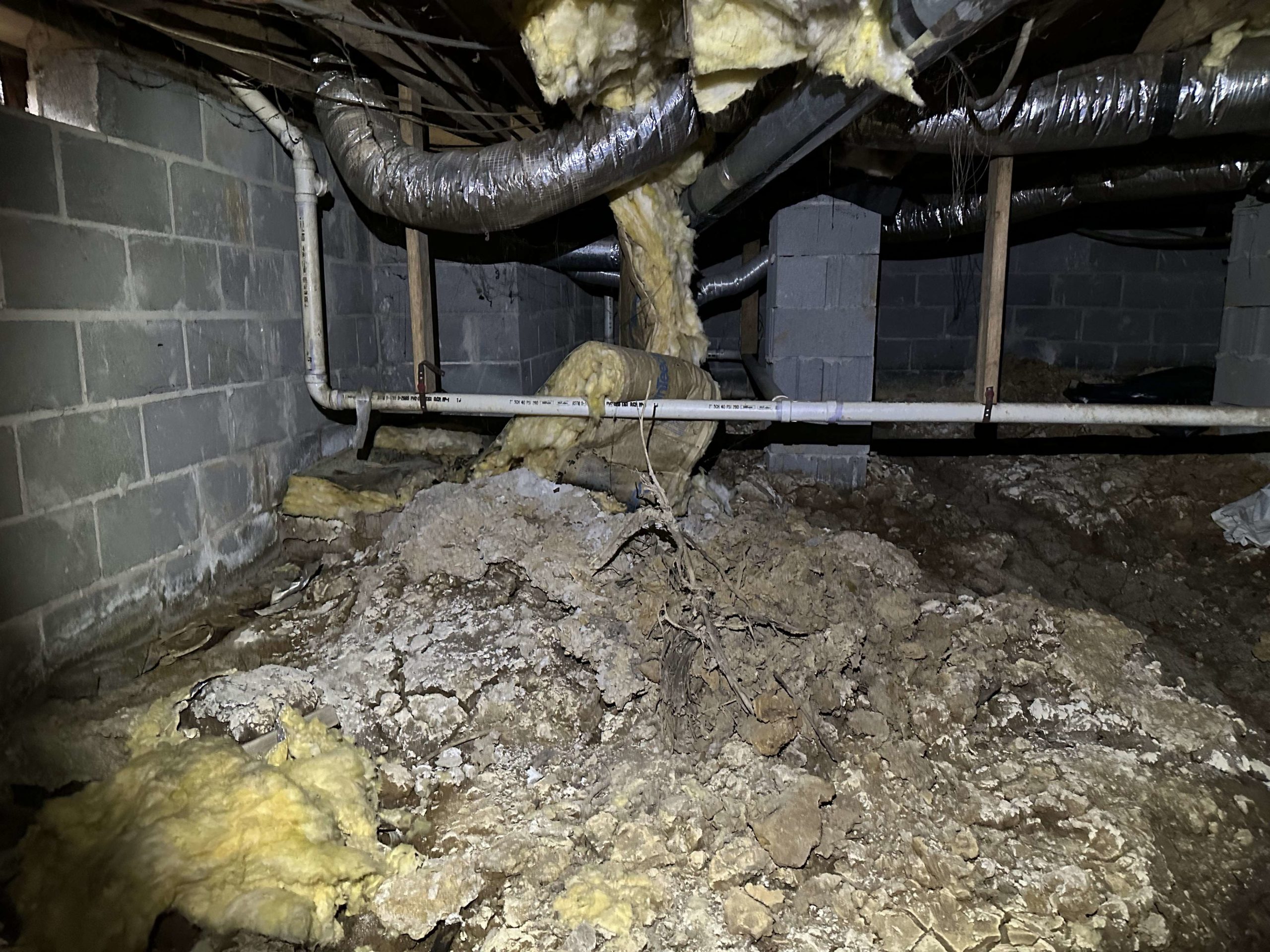Crawl Space Mold And Water Remediation A Comprehensive Solution In Huntsville, Al (2)