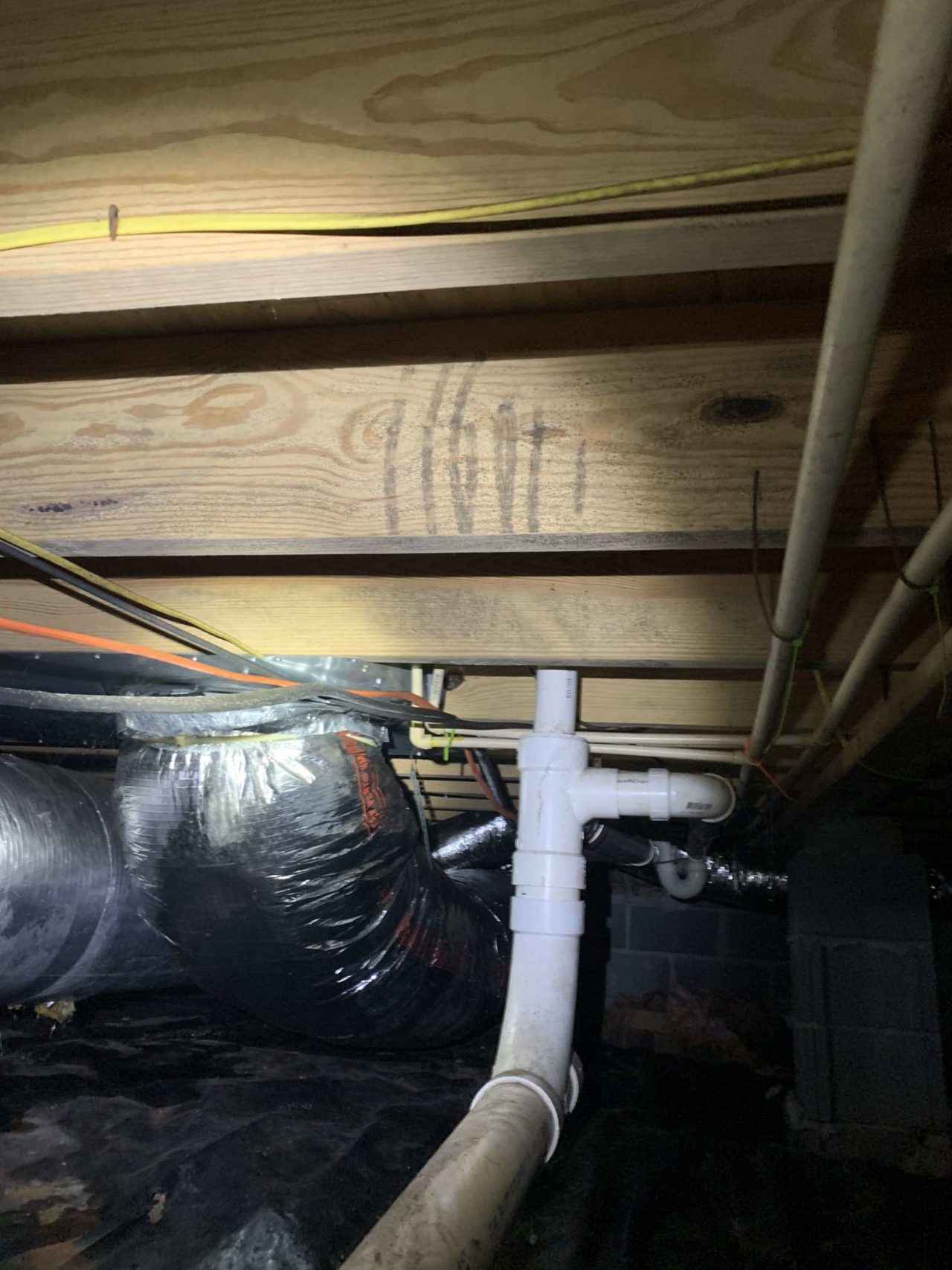 Image showcasing Mold Remediation in Alabama | Crawl Space & Basement Experts