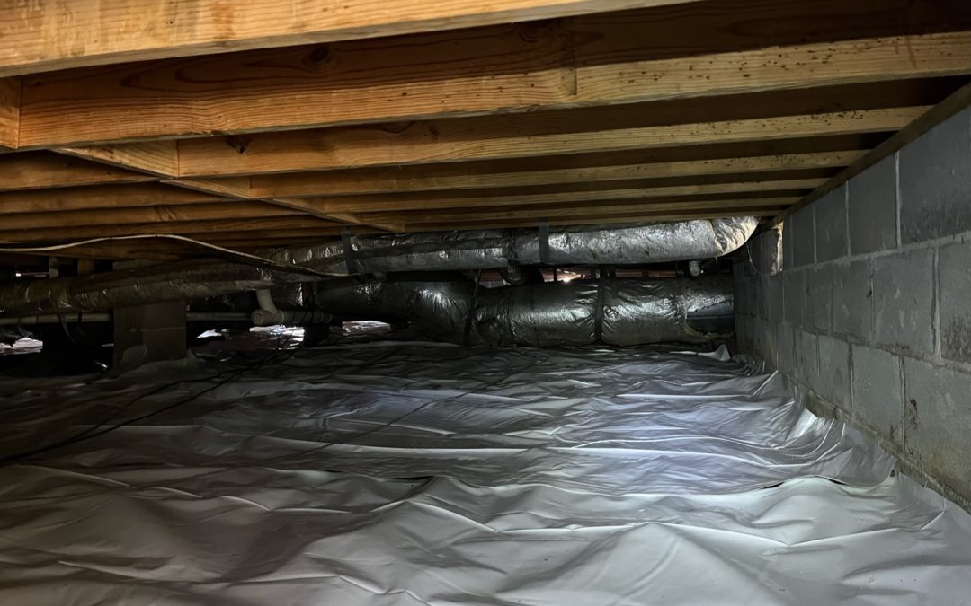 Crawl Space Mold Remediation and Moisture Control in Woodville, AL