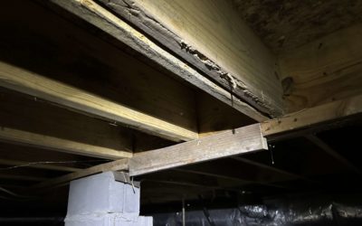 Crawl Space Problems in Huntsville: What to Look For Before It’s Too Late