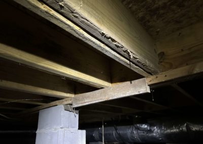 Joppa, Al Crawlspace Repair And Mold Remediation | Damaged Wood Foundation