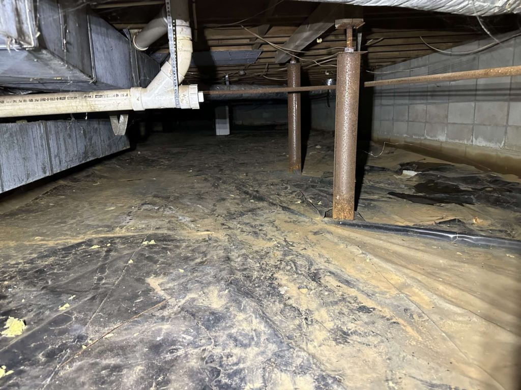 Photo of crawl space in Florence, AL showing standing water in various places and fungus growth & mold.