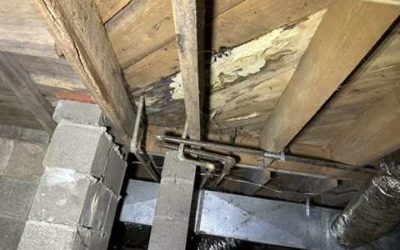 How To Protect Your Home From Water Damage