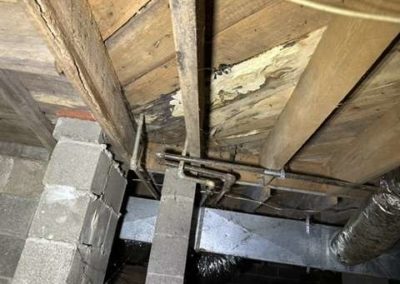 Damaged crawl space with termite infestation and water damage in Tuscumbia, AL before restoration