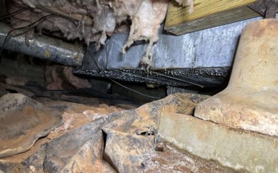 Crawl Space Moisture in Southern Tennessee Homes