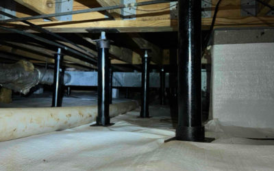 Vapor Barrier vs. Encapsulation: Which Is Right for Your Birmingham Crawl Space?