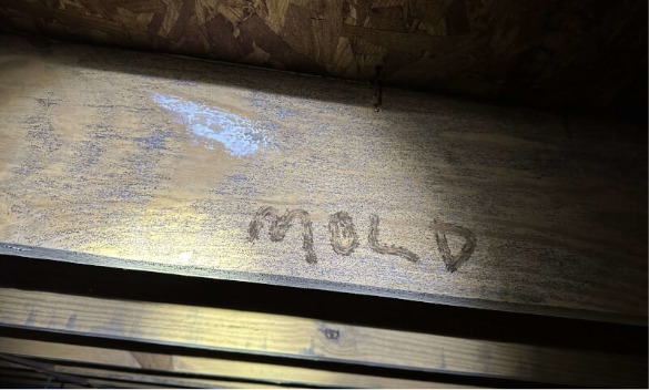 Below Your Home