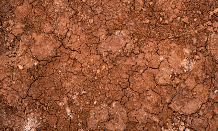 Exspanive Clay Soil
